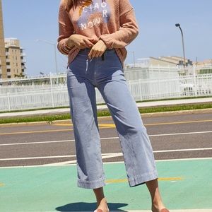 Madewell Emmett Wide-Leg Crop Pants in Velveteen